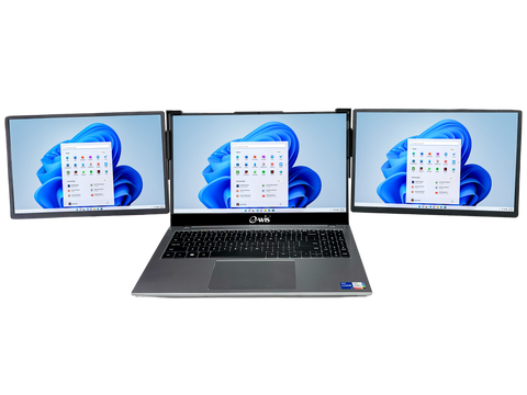 EWIS 14" IPS Screen Extender